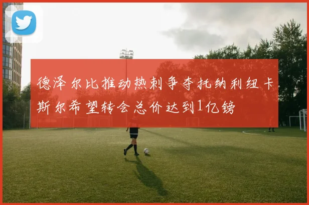 德泽尔比推动热刺争夺托纳利纽卡斯尔希望转会总价达到1亿镑