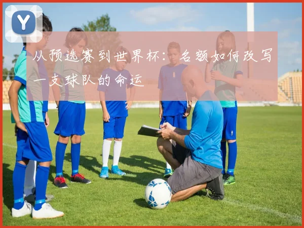 从预选赛到世界杯：名额如何改写一支球队的命运